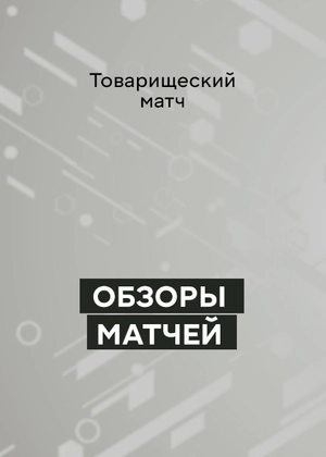 Польша — Украина. Товарищеский матч. Обзор матча