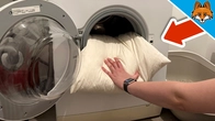 How to Wash a Down Pillow without damaging it(Quick & easy)
