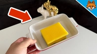 That´s why EVERYONE should put a sponge in their Home(Amazing)