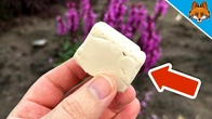 Gardeners hate THIS TrickWhy you have to pour THIS into your Plants