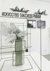Искусство таксидермии