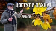 Серія 630