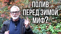 Серія 621