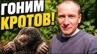 Как Избавиться от КРОТОВ: это отпугивает, а это приманивает