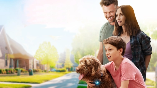 Think Like a Dog UHD
