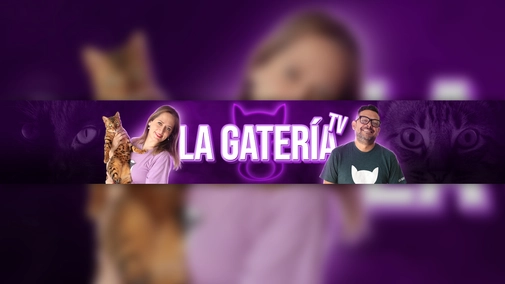 ¿ES CIERTO QUE LOS GATOS ROBAN EL ALIENTO A LOS BEBÉS? ? LA GATERÍA TV