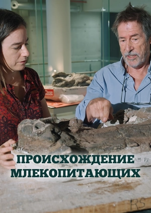 Происхождение млекопитающих