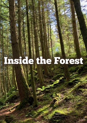 Inside the Forest