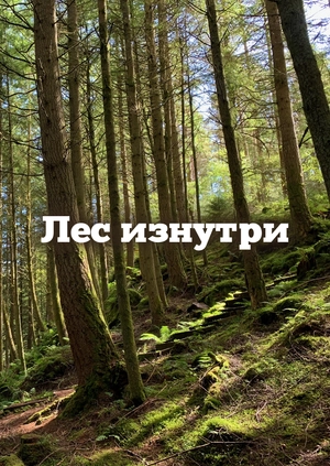 Лес изнутри