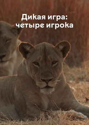 Дикая игра: четыре игрока