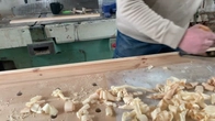 Не дивлячись на сучки і задири.