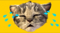 Cute Cat - Little Kitten Adventure Play Fun Cute Kitten Pet Care Learning stories for kids