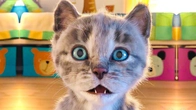 Cute Kitten - Little Cat Adventure with Kitten Fun Pet Care | Preschool Educational games for kids