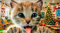 MY CUTE LITTLE KITTEN ADVENTURE OF A LITTLE CAT Best Learning cartoon for babies #cutecats