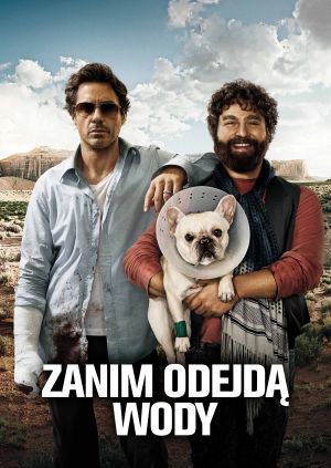 Zanim odejdą wody — plakat