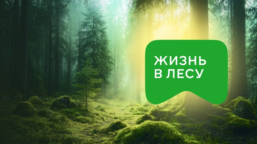 Проведите время там, где царит природа