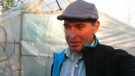 Почему раньше не болели деревья и виноград.