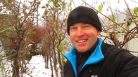 Опыты на даче с обрезкой плодовых.