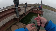 Ловимо Готуємо рибу з мурчіком