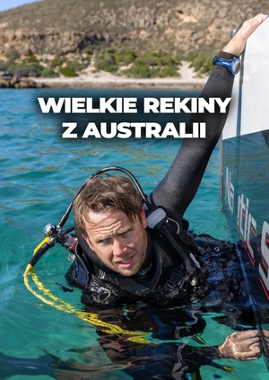 Wielkie rekiny z Australii