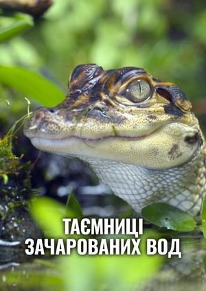 Таємниці зачарованих вод