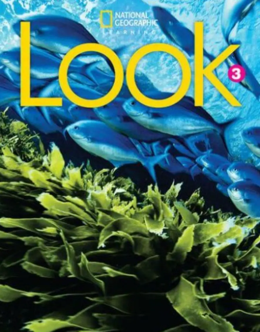 Look 3 SB British English