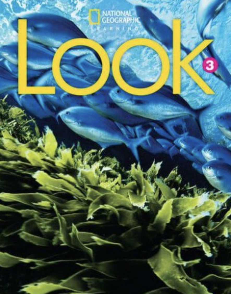 Look 3 SB British English