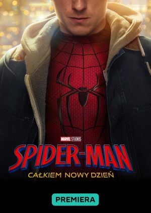 Spider Man. Całkiem Nowy Dzień — plakat