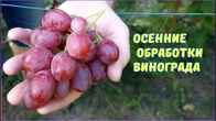 Сезонные работы, полив, удобрение.