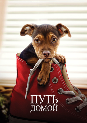 Фильм "Путь домой" ("A Dog's Way Home") - смотреть онлайн бесплатно и ...