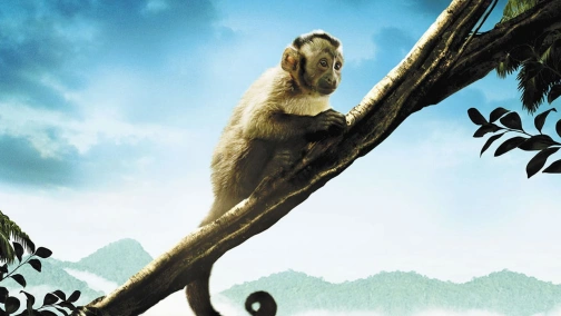 Амазония: Инструкция по выживанию