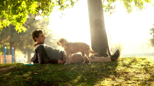 Ищу друга на конец света