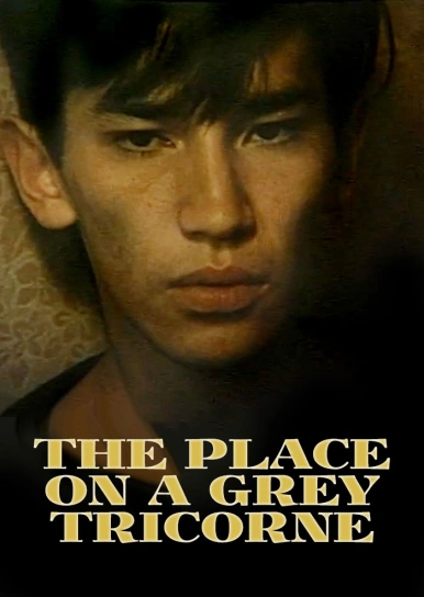 The Place on a Grey Tricorne