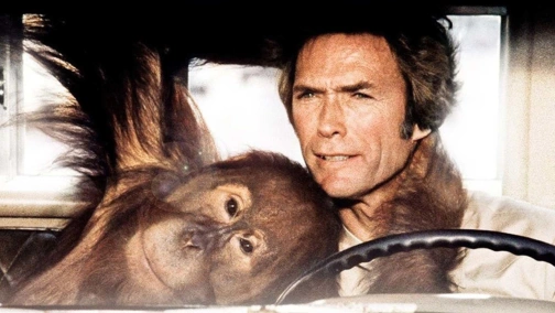 Як не крути — програєш