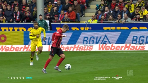 Round 7. Freiburg — Borussia Dortmund 2:2. Highlights