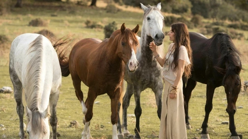 Восточный ветер 3: Наследие Оры