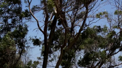 Туніс – перші враження