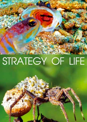 Strategy of Life