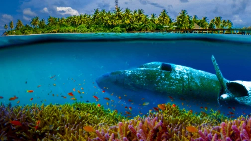 Атолл Бикини