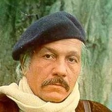 Mihai Volontir