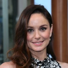 Sarah Wayne Callies
