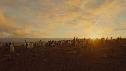 Earth: One Amazing Day UHD