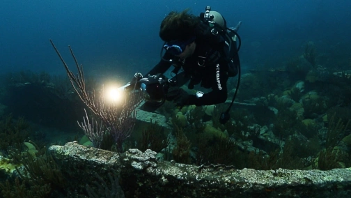 Осушение Великих озер