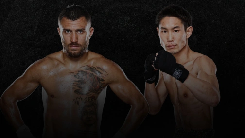 Василий Ломаченко — Масайоши Накатани. Лучшие моменты боя