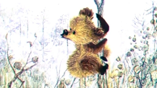 Jeśli gwiazdy spadają