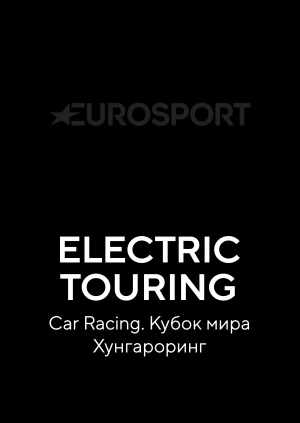 Electric Touring Car Racing. Кубок мира. Хунгароринг