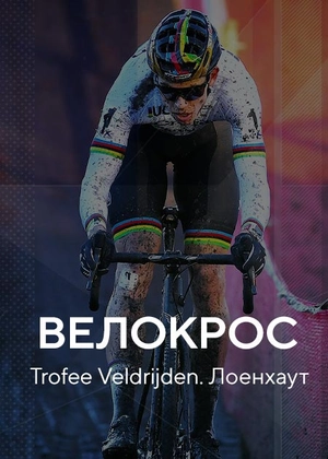 Велокрос. Trofee Veldrijden. Лоенхаут