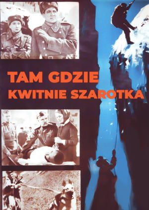 Tam gdzie kwitnie szarotka — plakat