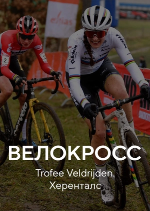 Велокросс. Trofee Veldrijden. Херенталс