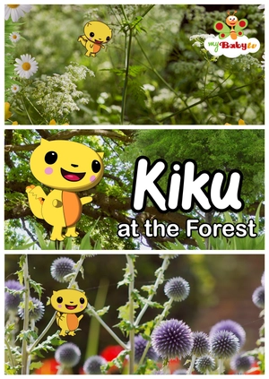 Kiku at the Forest